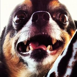 Meet your Posher, Tim